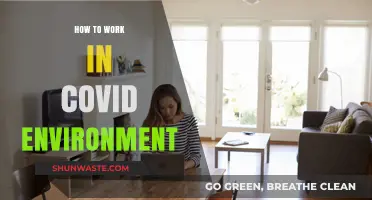 Navigating Productivity: Strategies for Working Effectively in a COVID Environment