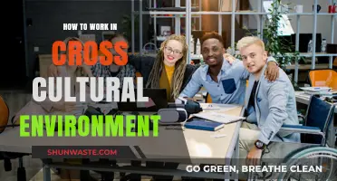 Navigating Cross-Cultural Workplaces: Strategies for Effective Collaboration and Success