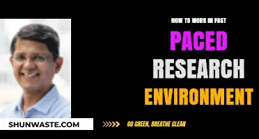 Thriving in Fast-Paced Research: Strategies for Success and Efficiency