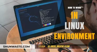 Mastering Linux: Essential Tips for Efficient Work in Linux Environment