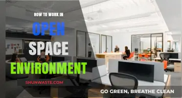Mastering Open Space: Tips for Productivity and Collaboration in Shared Workplaces