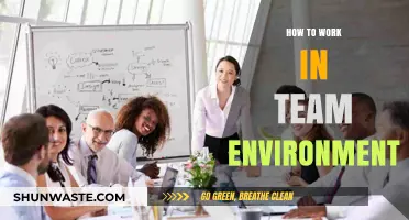 Mastering Collaboration: Essential Tips for Thriving in Team Environments