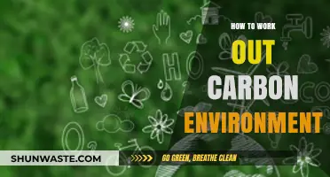 Mastering Carbon Environments: Practical Steps to Calculate and Analyze