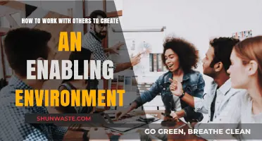 Collaborate Effectively: Building an Enabling Environment with Teamwork