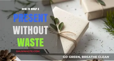 Eco-Friendly Gift Wrapping: Creative Tips for Zero-Waste Present Packaging