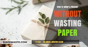 Eco-Friendly Gift Wrapping: Tips to Save Paper and Impress