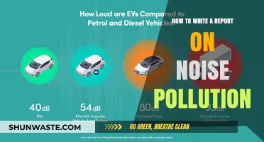 Writing Reports: Noise Pollution