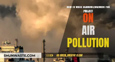 Acknowledging Efforts: Air Pollution Project