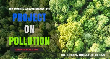 Acknowledging Efforts to Combat Pollution's Impact