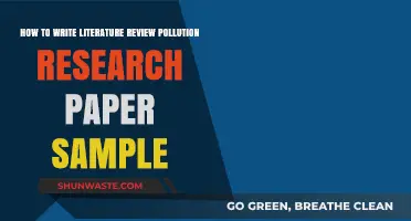 Writing Literature Reviews: Pollution Research Sample