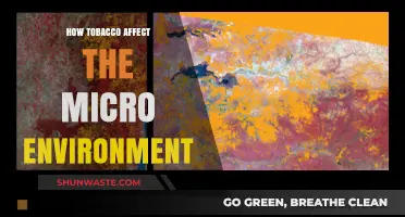 Tobacco's Impact: Unveiling Harmful Effects on the Micro Environment