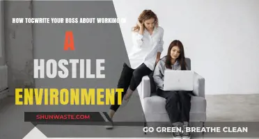 Navigating Hostile Workplaces: Crafting a Professional Email to Your Boss
