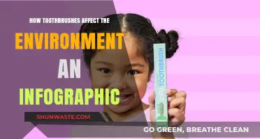 Toothbrushes' Environmental Impact: A Visual Guide to Sustainable Choices