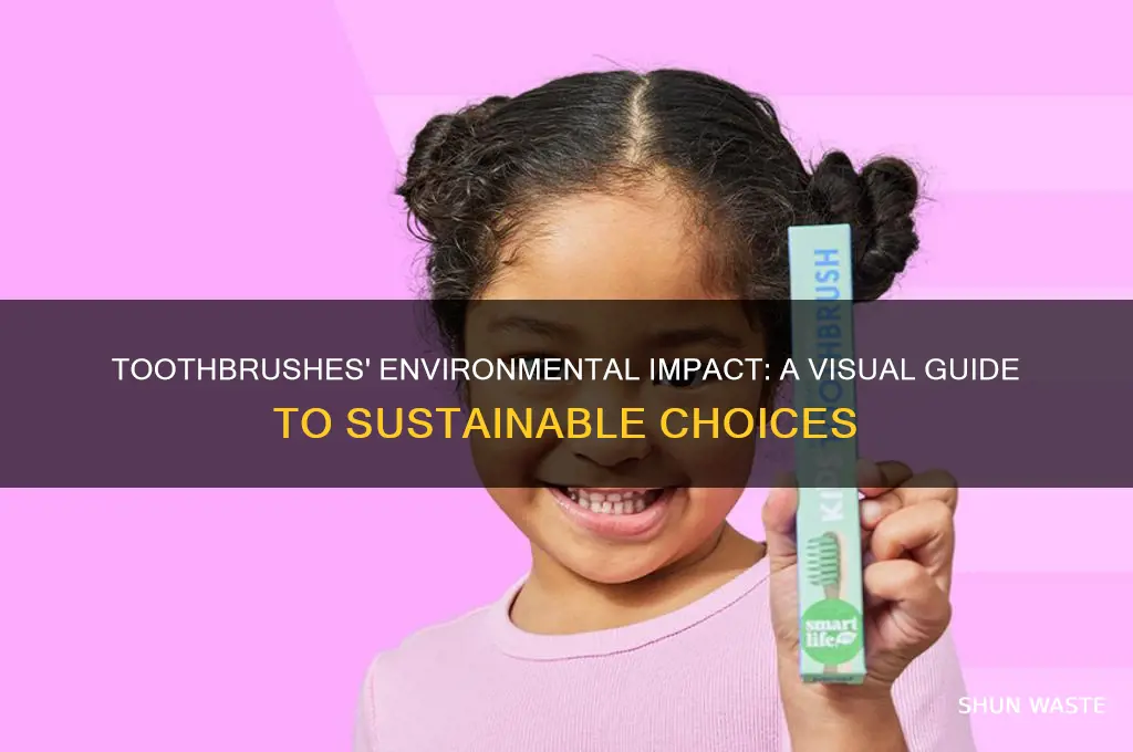 how toothbrushes affect the environment an infographic