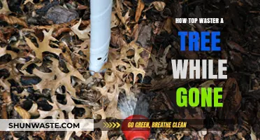 Efficient Tree Watering Tips for Travelers: Keep Your Plants Thriving While Away