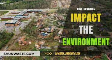Tornadoes' Environmental Impact: Destruction, Recovery, and Ecosystem Changes Explained