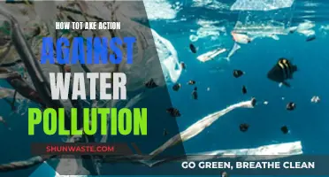 Battling Water Pollution: Effective Steps to Take Action