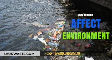 Exploring Tourism's Environmental Impact: Challenges and Sustainable Solutions