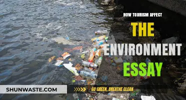 Exploring Tourism's Environmental Impact: Challenges and Sustainable Solutions