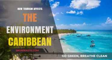 Caribbean Tourism's Environmental Impact: Challenges and Sustainable Solutions