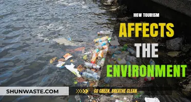 Exploring Tourism's Environmental Impact: Challenges and Sustainable Solutions