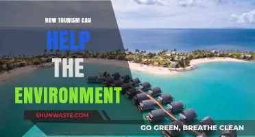 Sustainable Travel: How Tourism Can Protect and Restore Our Environment