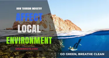 Tourism's Impact: Balancing Economic Growth and Local Environmental Preservation