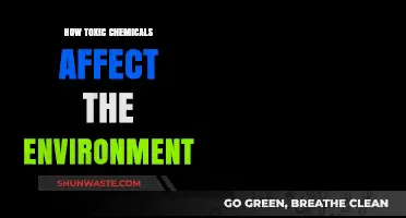 Toxic Chemicals: Unseen Environmental Threats and Their Devastating Impact