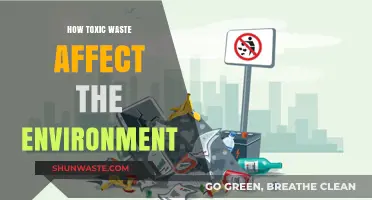 Toxic Waste's Devastating Impact on Ecosystems and Human Health