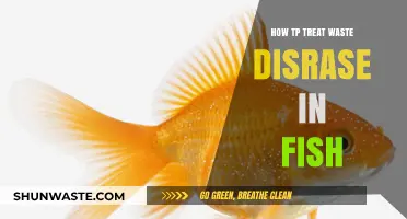 Effective Treatment Strategies for Waste Disease in Aquarium Fish