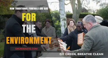 Traditional Funerals' Environmental Impact: Unsustainable Practices and Eco-Friendly Alternatives