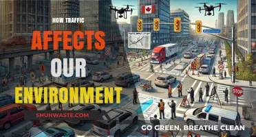 Traffic's Environmental Impact: Pollution, Climate Change, and Urban Health Concerns