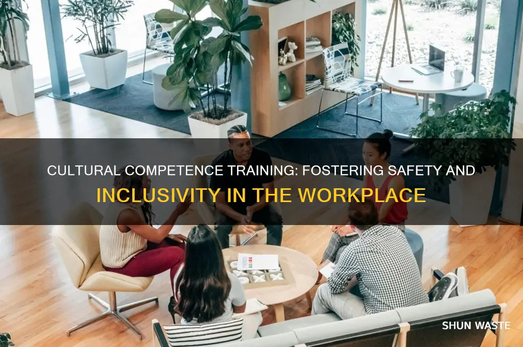 how training in cultural competence encourages a safe working environment