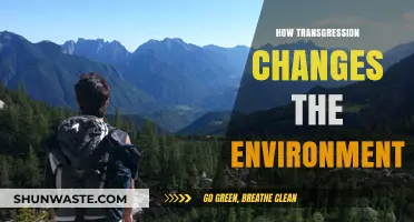 Transgression's Impact: How Environmental Boundaries Shape Ecosystems and Landscapes