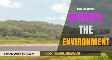 Transport's Environmental Impact: Exploring the Effects of Mobility on Our Planet
