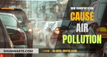 Transportation's Impact: Air Pollution and Our Health