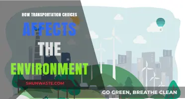 Sustainable Commutes: How Transportation Choices Impact Our Environment