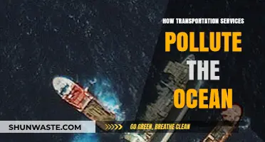 Transportation Services: Ocean Polluters