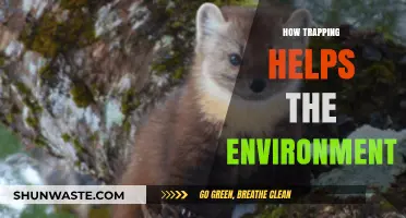 Trapping's Surprising Role in Preserving Ecosystems and Wildlife Balance