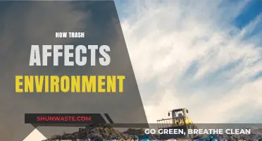Trash's Toxic Impact: How Waste Destroys Our Environment and Planet