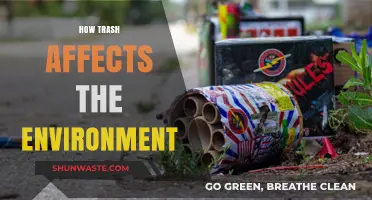 Trash's Toxic Impact: How Waste Destroys Ecosystems and Pollutes Our Planet