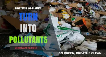 Trash and Plastics: Polluting Our Planet