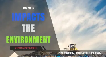 Trash's Devastating Impact: How Waste Destroys Our Environment and Planet
