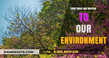 Trees: Nature's Lifeline for a Healthier, Sustainable Environment