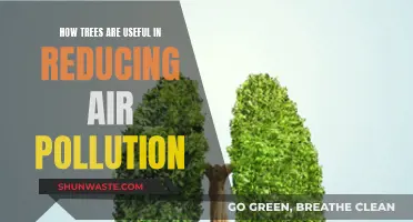 Trees: Natural Air Purifiers and Pollution Fighters