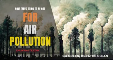 Trees: Nature's Air Purifiers and Climate Saviours