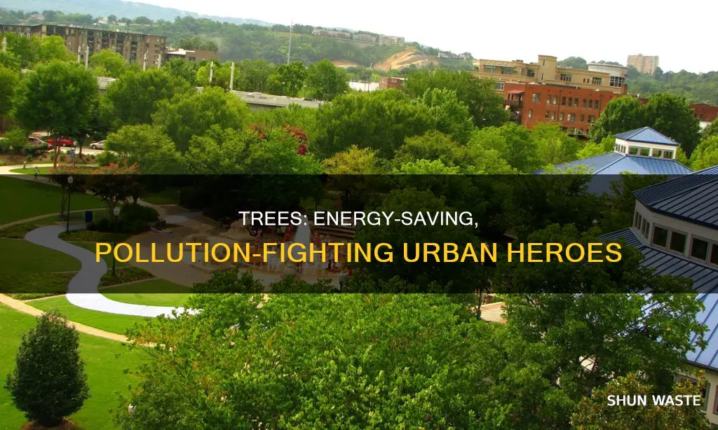 how trees help conserve energy and reduce pollution in cities