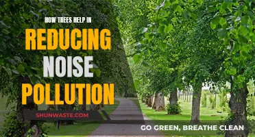 Trees: Natural Noise Pollution Reducers