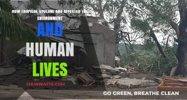 Cyclone Ana's Devastating Impact: Environment and Communities in Crisis