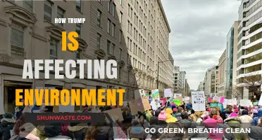 Trump's Environmental Impact: Policies, Climate Change, and Ecosystem Consequences